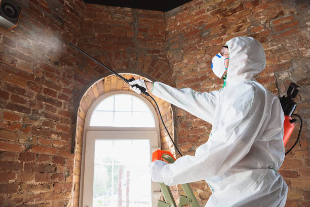 Water damage restoration mold remediation in Hugo, OK